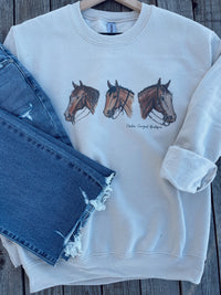 Cowpony Sweatshirt