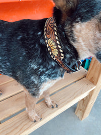 Tooled Sunflower Dog Collar