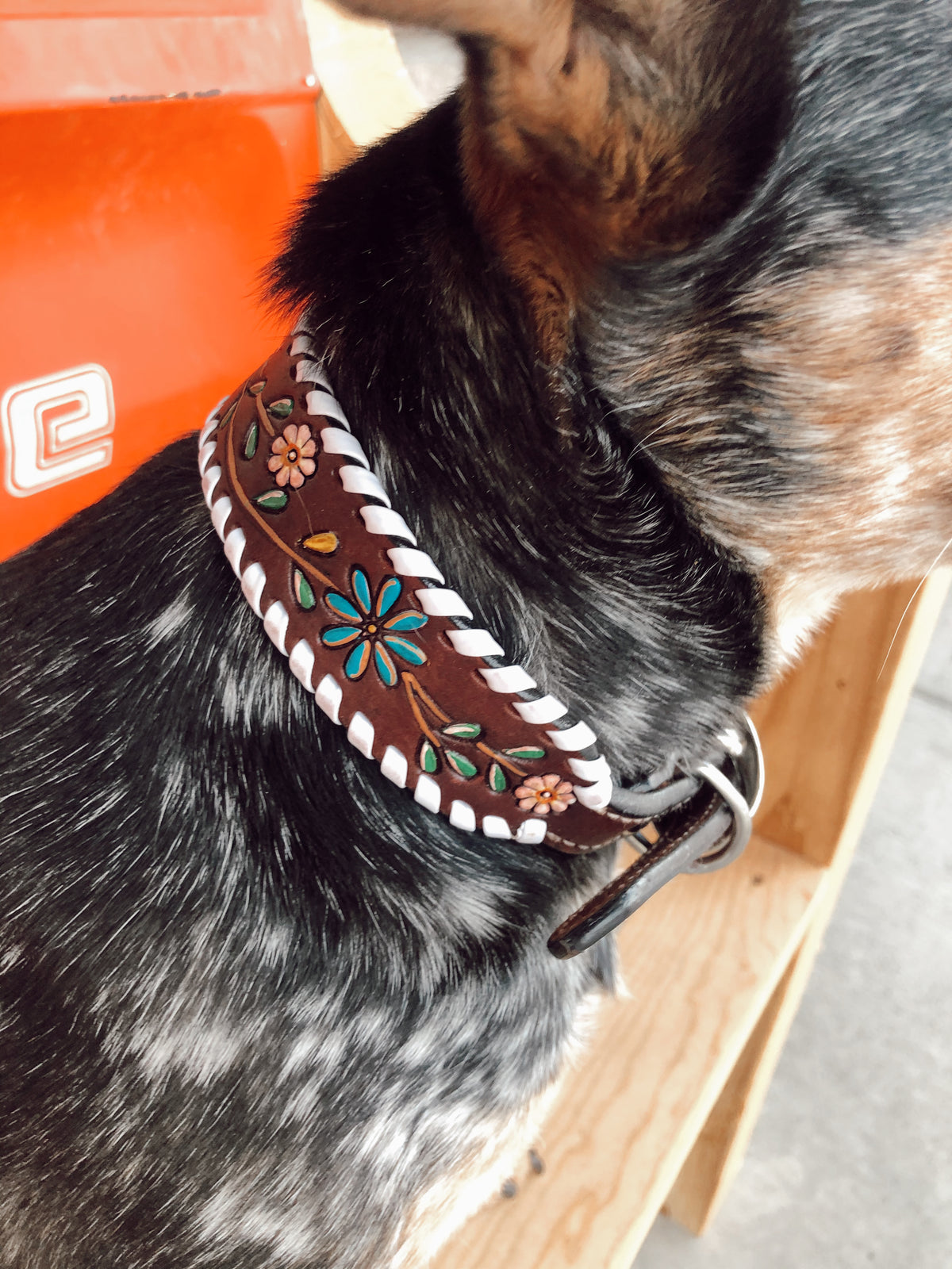 Floral Tooled Dog Collar